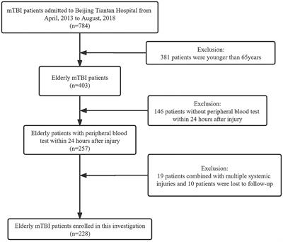 Poor nutritional status is associated with incomplete functional recovery in elderly patients with mild traumatic brain injury